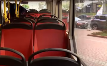 Новий графік руху автобусів в Дніпрі
