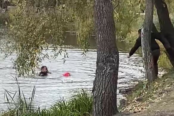 Девочка упала в озеро в Киеве, полицейские бросились на помощь: видео с места