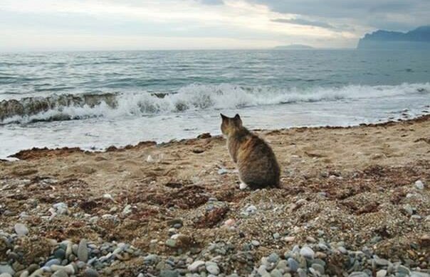 Апупка и Ядма: впервые опубликована новая карта Крыма