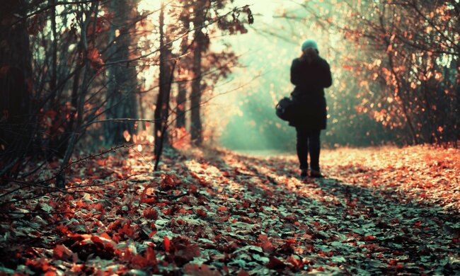 погода, холод, мороз