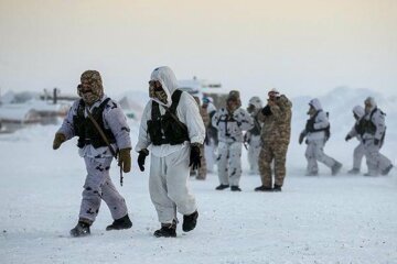 военные, снег, зима