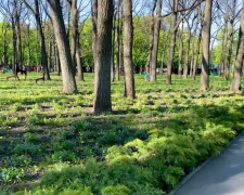 Прогноз погоди на тиждень з 6 по 12 квітня у Дніпрі