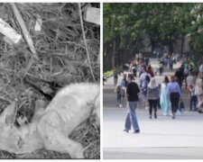 "Чупакабра" попалась в ловушку в украинском селе: как выглядит зверь
