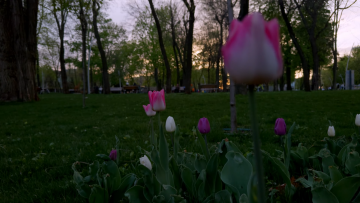 Прогноз погоди на тиждень з 30 березня по 5 квітня в Дніпрі