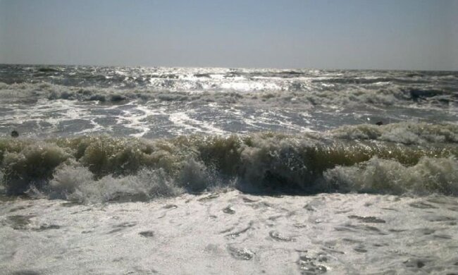 В Азовському морі неможливо підійти до води, відпочиваючі стривожені: кадри напасті