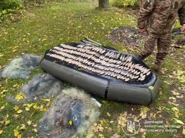 браконьер