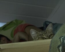 Безкоштовне житло для ВПО у Запорізькій області