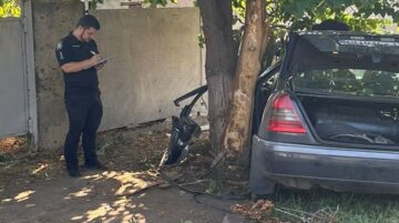 Mercedes "відкинуло" у дерево: біда сталася з одеситами на дорозі, кадри ДТП