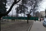 Загадочная застройка появилась в Киеве на Шулявке, фото: жители занервничали