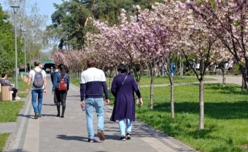 Астрологи напророчили удачу на выходных трем знакам Зодиака: "Судьба вам будет отправлять сигналы"