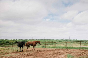 Американский миллиардер покупает ранчо в Техасе стоимостью в $725 млн (фото)