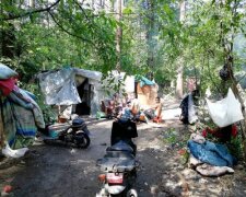 Счетчик пошел: цыганам в Голосеевском парке дали время на побег, будет большая чистка