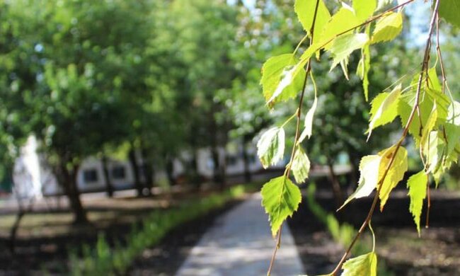 На Солом’янці урочисто відкрили новий сквер: Андрій Андрєєв