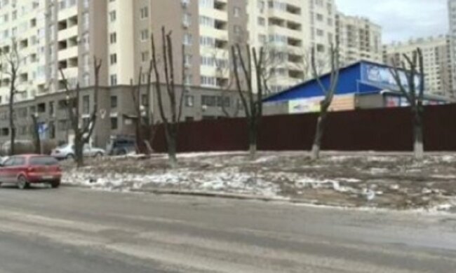 В Одесі варварськи знищили два десятки дерев заради супермаркету: кадри свавілля