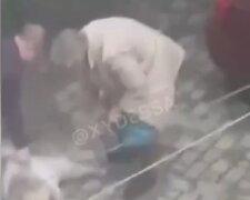 У муках і конвульсіях: у центрі Одеси шкуродерка влаштувала розправу над псом на очах у дитини, кадри