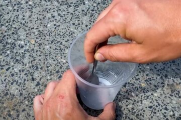 муравьи на огороде