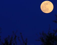 Суперлуние или Цветочная луна: астрологи предупредили украинцев о роковой дате в мае