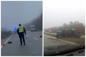Трагическая авария заблокировала движение на украинской трассе, авто отбросило на встречку: кадры ДТП