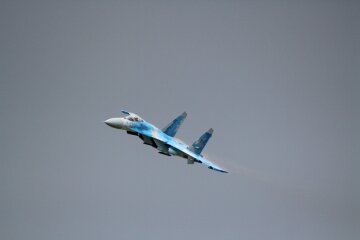 Крушение Су-27 в Винницкой области: подробности о жертвах и первые кадры с места трагедии