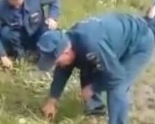 "Типичная дедовщина": российских пожарников вынудили стричь траву маникюрными ножницами, видео