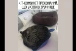 Без имени-1
