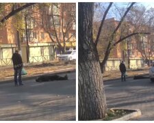 "Давайте, тисніть мене": в Одесі чоловік ліг посеред дороги, відео
