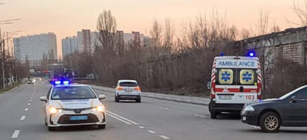 ����: politeka.net