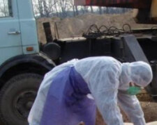 У Київській та ще трьох областях зафіксували спалах нової небезпечної хвороби: що відомо