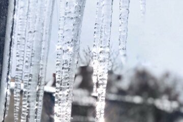 47693378_379488002878477_8819142236867461169_n