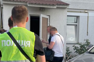 поліція, затримання