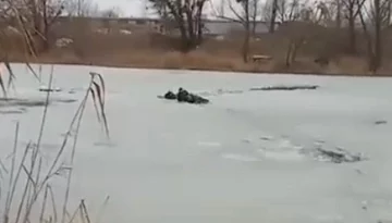 В Киеве мужчина пытался помочь тонущей собаке и сам попал в беду, видео: на место срочно выехали спасатели