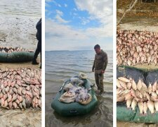 Держекоінспекція