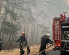 На Луганщині місцева влада своїм непрофесіоналізмом сприяє розповсюдженню пожеж