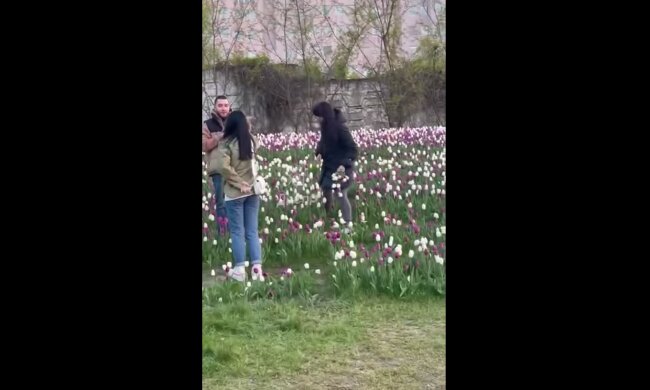 Потоптали газон и вырвали цветы: жителей возмутил беспредел на одной из улиц Днепра, видео