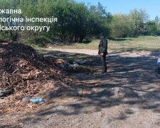 Держекоінспекція