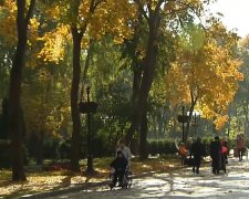 Прогноз погоды на неделю с 17 по 23 ноября в Днепре.