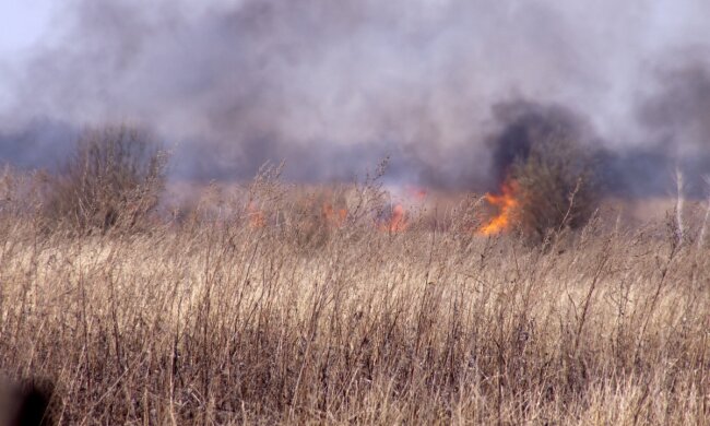 Пожар в поле