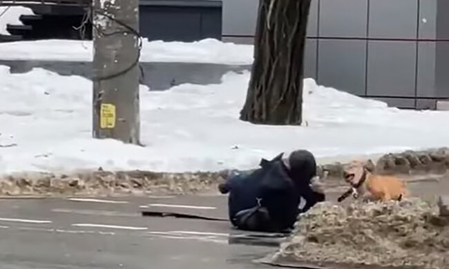 У Дніпрі неадекват нацьковує собаку на перехожих: з'явилося відео