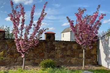 Погода на май в Днепре