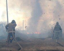 Вогонь охопив гектари територій в Одесі, рятувальники зробили все можливе: відео НП