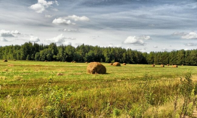 img-20160601113139-481