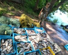 Держекоінспекція зупинила браконьєрство у заказнику «Сулинський»: накоїли шкоди на 4 мільйонів гривень