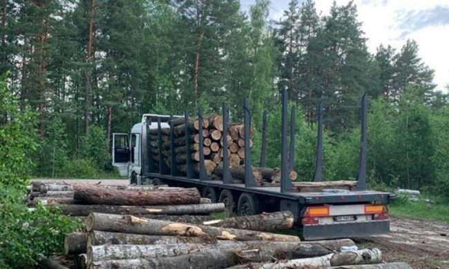 Державна екологічна інспекція відзвітувала про вражаючі результати роботи у червні