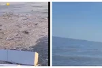 "Там чей-то дом плавает": одесситы публикуют жуткие кадры с побережья Черного моря