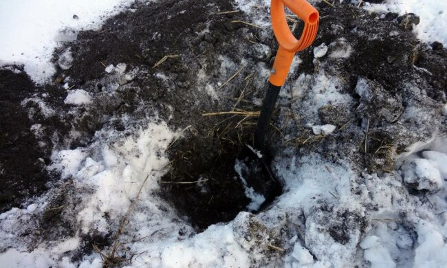 befd30ee2a3876c1673185f70a5951aa6dca14137283962