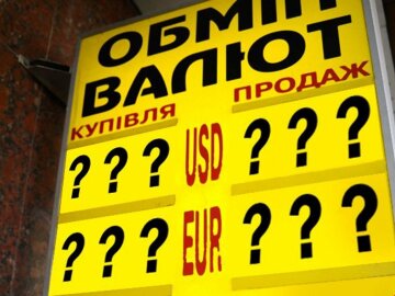 Как изменится курс доллара в Украине: назван тревожный фактор