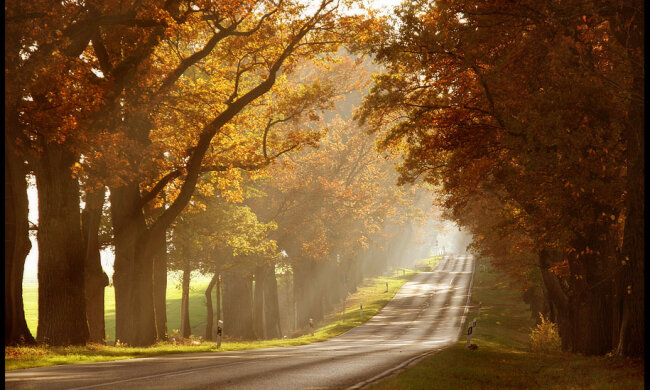 autumn_sun_by_ssilence