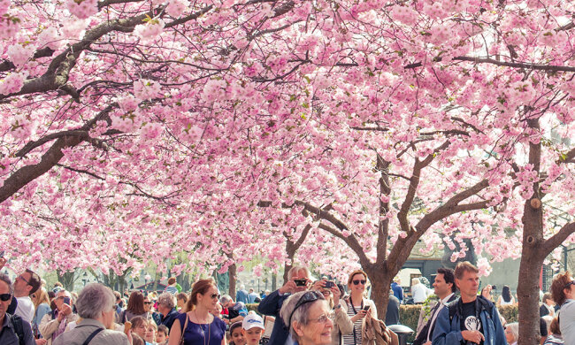 Любов, гроші і не тільки: названо знаки Зодіаку, життя яких круто зміниться навесні