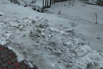 Чорний сніг на Прикарпатті. Представник Держпродспоживслужби прокоментував ситуацію