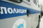 полиция россии